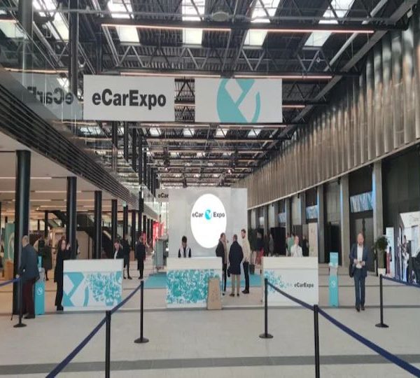 Chinese Elements Shined over eCarExpo