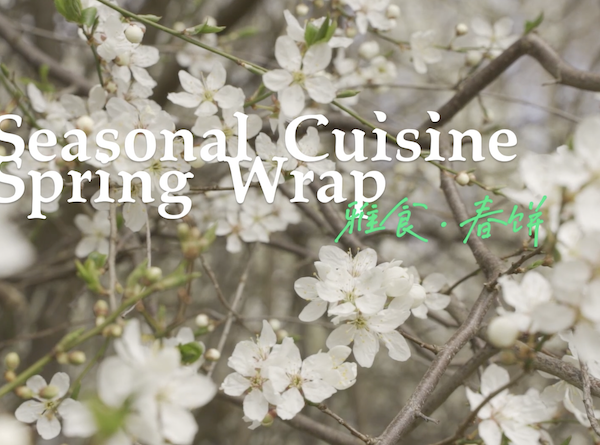Seasonal Cuisine – Spring Wraps