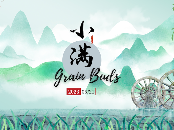 Seasons of China – Grain Buds