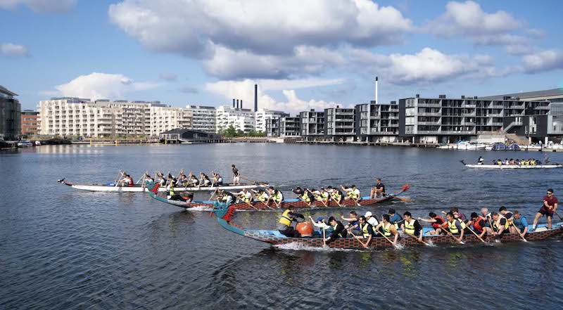 Copenhagen Dragon Boat Festival: Embracing Love Across the World