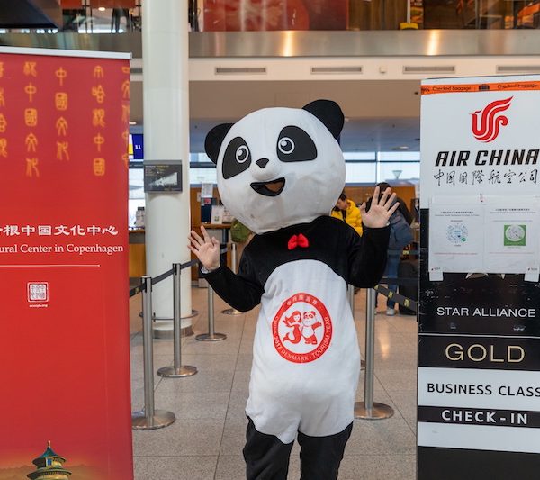 疫情后首个丹麦学生赴华游学访问团——开启大熊猫故乡之旅