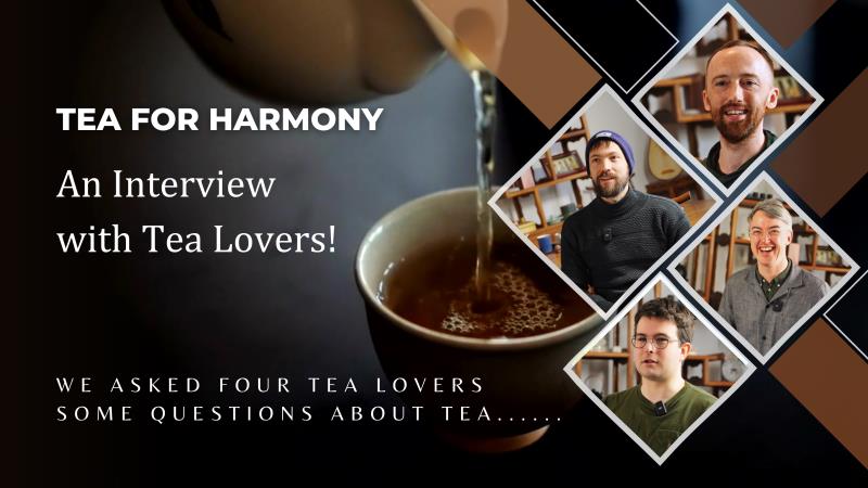 茶和天下——采访丹麦茶艺师