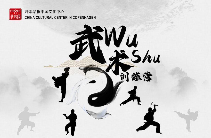 功夫传情,丹中同行——庆祝中丹建交75周年武术文化交流活动